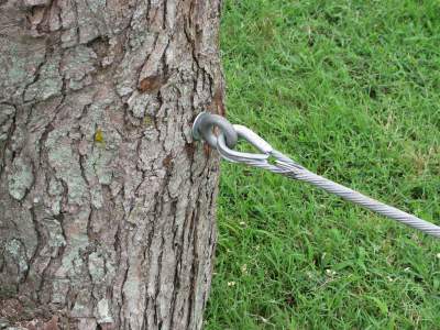 Static Cabling System - Streamline Tree Care